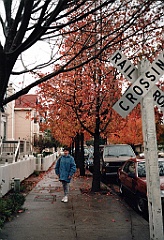 1995 - USA 035 (Santa Cruz)